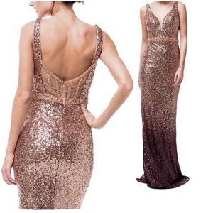 Bicici & Coty Ombre Rose Gold Sequin Beaded Mesh Jewel Formal Gown Dress Sparkly